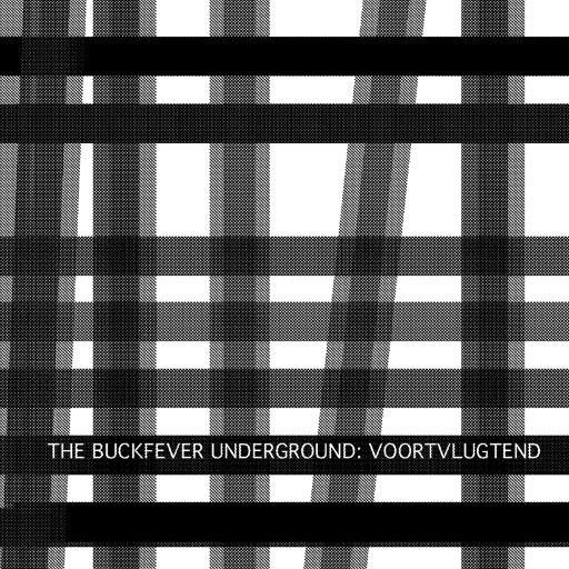 Voortvlugtend album cover